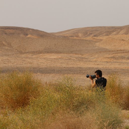 Environmental biologist, MSc in Ecology & in GIS. PhD student at @PAISAJE_lab 🤘

https://t.co/SLbw6EXzL3