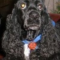 readlarrypowell (@readlarrypowell) 's Twitter Profile