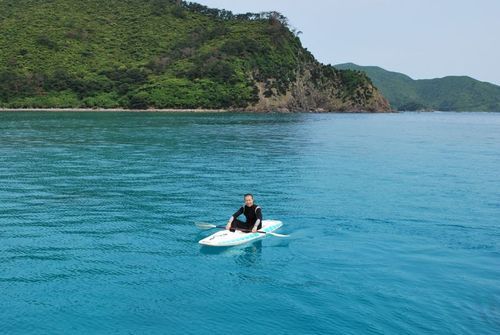 dfukae's profile picture. 