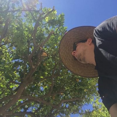 GugaDiaz's profile picture. 