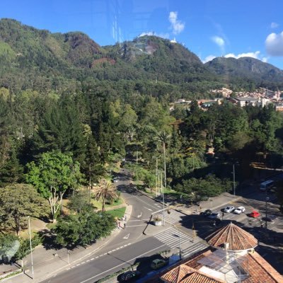 mejorarbogota's profile picture. Con espíritu constructivo. En otras latitudes, por un rato. Miremos. #mejorarbogotá