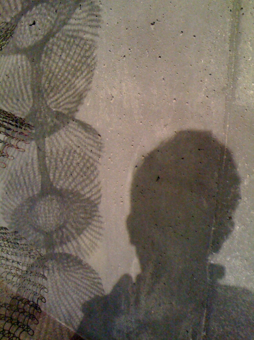 oscarvs's profile picture. 