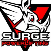 SurgeToNewLevels (@surgenewlevels) 's Twitter Profile