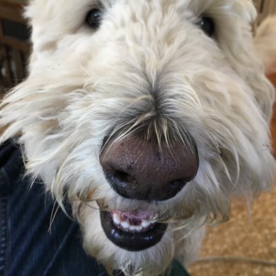 wdavisking's profile picture. engineer, quant, dad. I block unfunny jokes and irrelevant replies.