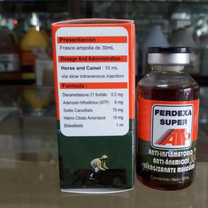 alex_gibson2018's profile picture. 