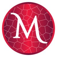 Maria Clark ✝️🌱🐈⬛👽 (@mosaicmaria) 's Twitter Profile