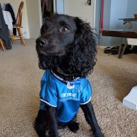 Joe Wyrzykowski (@jzwyrzyk) 's Twitter Profile