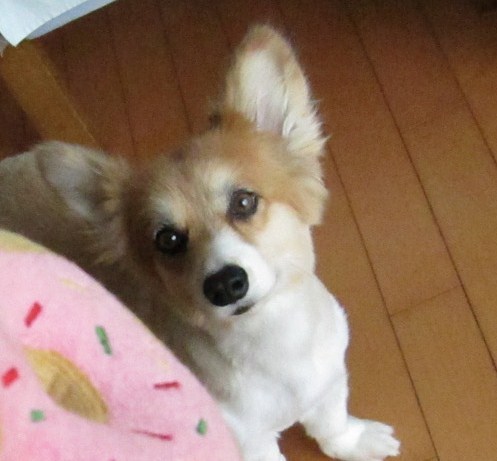 hinuna's profile picture. 