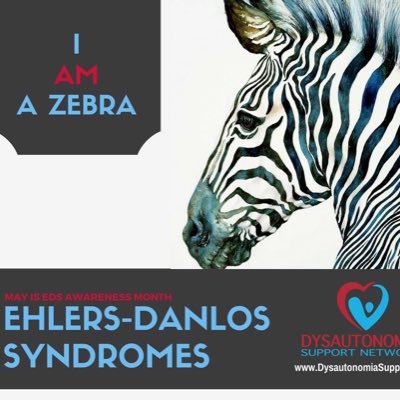 I blog about Ehlers Danlos Syndrome (EDS) and POTS. I create resources for patients, share my own medical journey, and add some humor where I can.