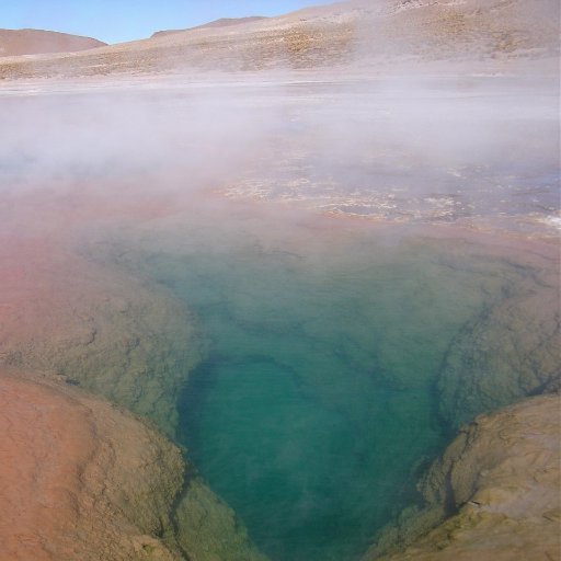 Científica, estudia microorganismos extremófilos en ambientes extremos del altiplano y desierto. Diseño molecular, sist. de expresión, termozimas, biotecnología