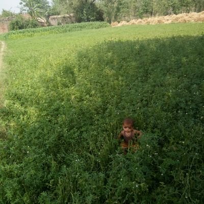 4e35ca7dbd35499's profile picture. comedienne