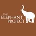 The Elephant Project (@theelephantproj) Twitter profile photo