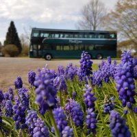 Mortons Travel (@mortonstravel04) 's Twitter Profile