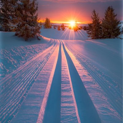 sunilguptks's profile picture. Business