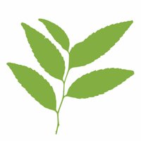 RedVerde Bioconstrucción (@redverdebio) 's Twitter Profile