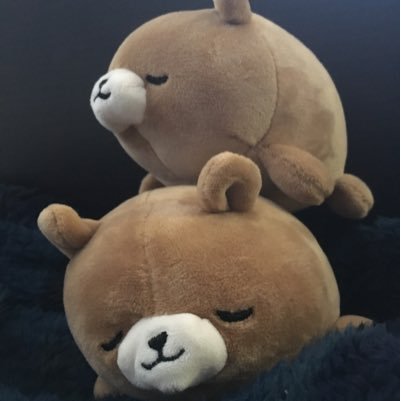 sok_8810's profile picture. 