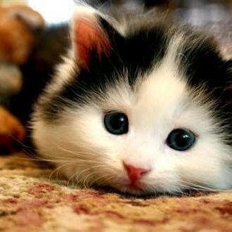 00youAndi's profile picture. all eyes on me😍😍