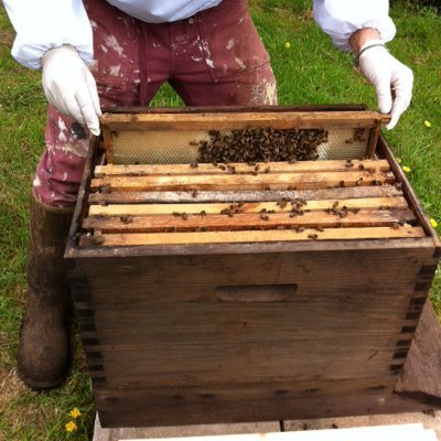 All about sustainable and ethical beekeeping! We aim to produce the best local honey and wax products! #savethebees