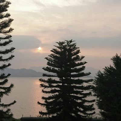 Ivanwkkung's profile picture. 