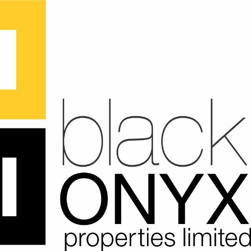 black onyx investments limited