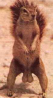 EmpoweredNADS's profile picture. Hey, Nads here. A kind Hater, A wannabe Player and an extremely lazy Entrepreneur. Feeding you funny shit 24/7 #follow4follow #iFollowBack