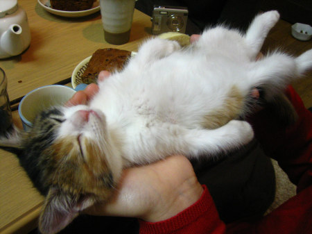 mizuta_atsushi's profile picture. 