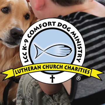 Trained Comfort #Dogs for @LCCharities near #Chicago, IL. #Travel all over the U.S. to offer comfort and #love. IG- https://t.co/1XvDyrn3JE #comfortdogs