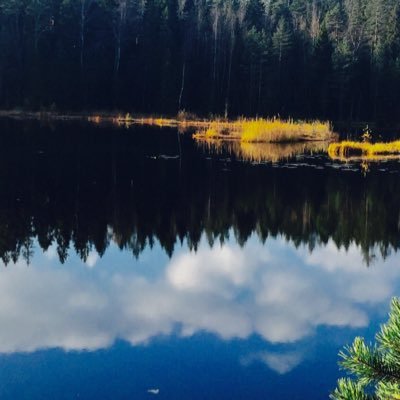 jiri157739401's profile picture. 初立 3-10 GS