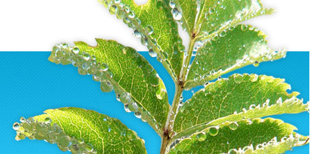 Jobs in climate, clean energy, and low carbon industries. http://t.co/wEu0PKGArw