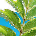 Cool Climate Jobs (@coolclimatejobs) Twitter profile photo Cool Climate Jobs (@coolclimatejobs) Twitter profile photo