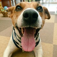 みろ (@201112miro) 's Twitter Profile