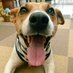 みろ (@201112miro) Twitter profile photo みろ (@201112miro) Twitter profile photo