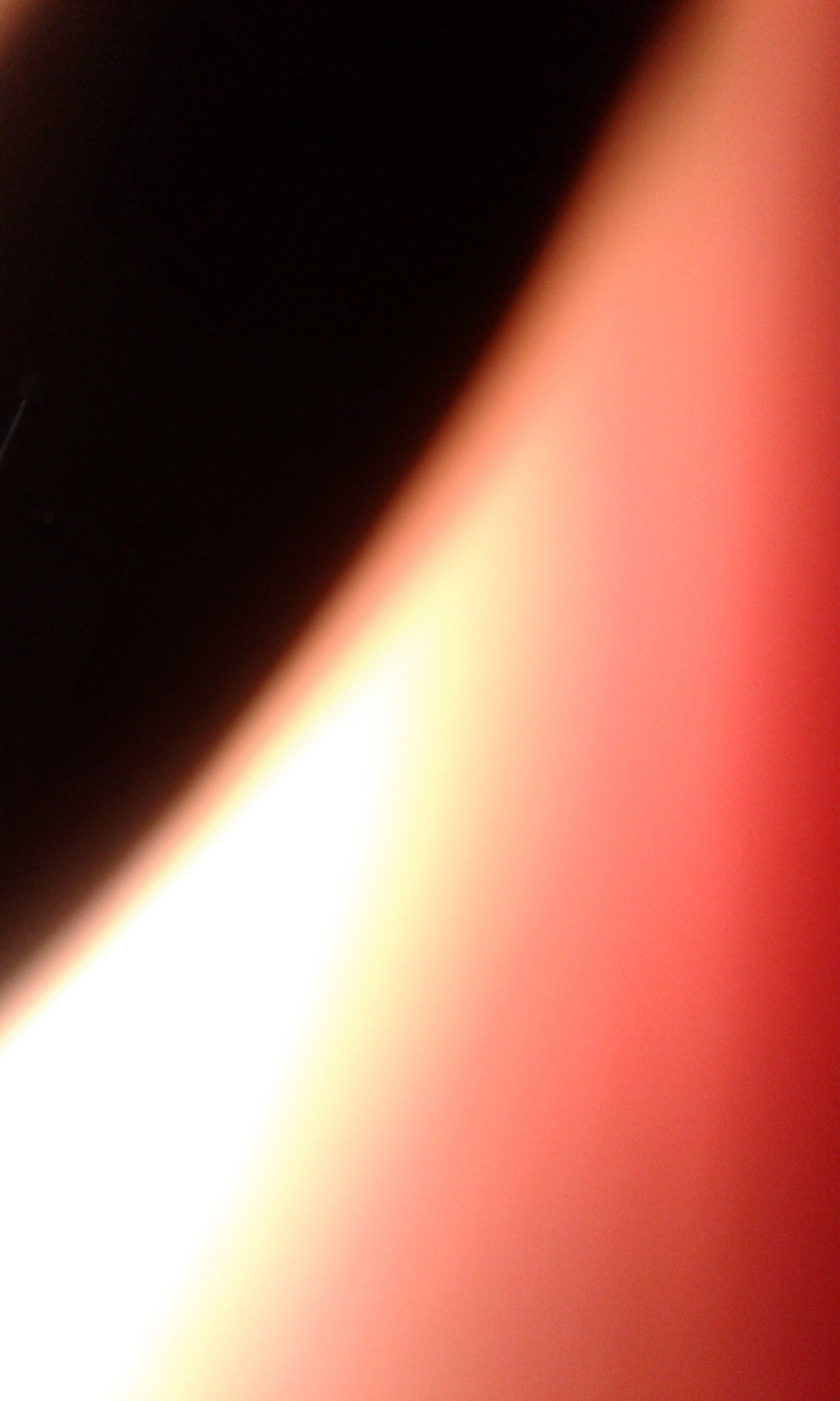 osorio_yaritza's profile picture. 