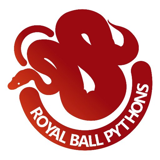 RoyalBallPython's profile picture.