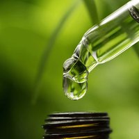 PA Medical Marijuana (@pamedmarijuana) 's Twitter Profile Photo PA Medical Marijuana (@pamedmarijuana) 's Twitter Profile Photo