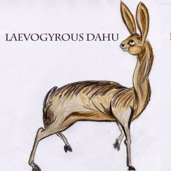 LeDahu_'s profile picture. Dahus Rupicapra Vacca Montagnus