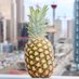 Social Pineapple (@Social_pineappl) Twitter profile photo
