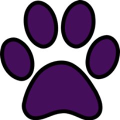 Bear Connections is a youth mentoring program @ Winter Springs High School in Florida. EST in 2014 Bear Connections partners students with community mentors.