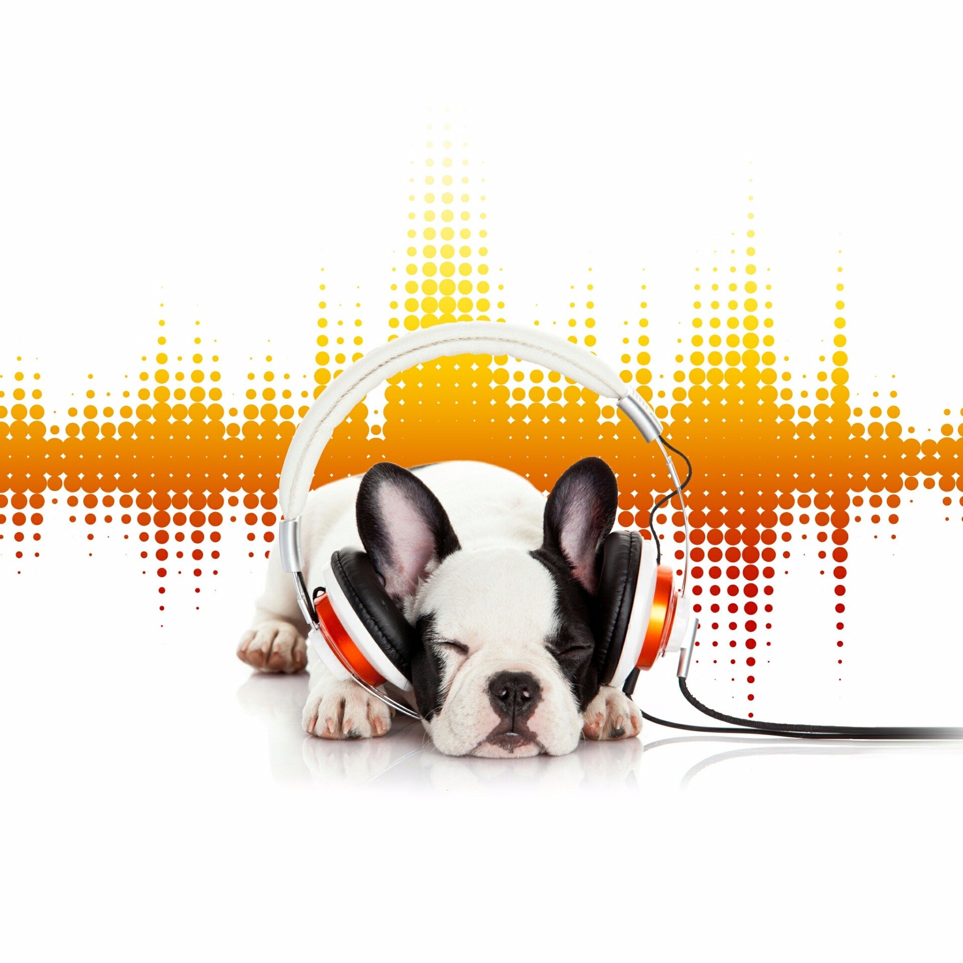 bilklinton's profile picture. UE, SOU UM CARA sussegado e sonhador