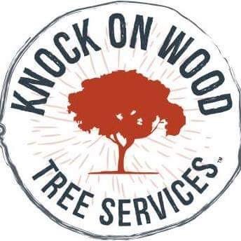 Tree experts | Emergency Clean Up | Mill it, Kiln it, Grind it | Fully Licensed and Insured