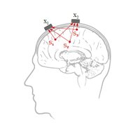Feng Liu (@liufengbrain) 's Twitter Profile Photo Feng Liu (@liufengbrain) 's Twitter Profile Photo