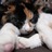 Ryo208_726's profile image