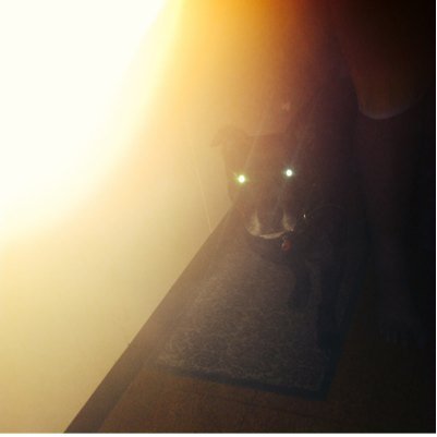 AshEm16's profile picture. inky1331@gmail.com