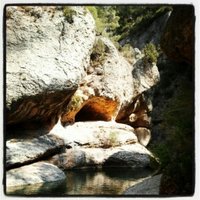 Laia Pellejà Adalid (@laiapelleja) 's Twitter Profile