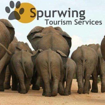 We have the Southern African adventures you have been waiting for. Contact us on info@spurwingtourism.com for all your traveling needs.