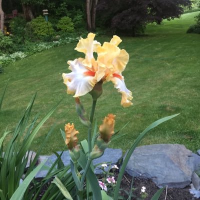 Arts & Culture Literature News Weather US & World News Biking Spinning Gardening Nurse Practitioner and Mom of Plastic Surgery resident and luckiest mom in law