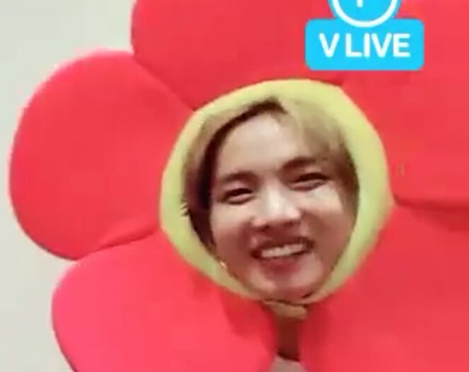 BTSARMYmom's profile picture. Proud mother of an ARMY 💜💜💜 I wanted to vote too! #BTSBBMAs