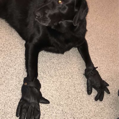 siggaspamm03's profile picture. Flott gella