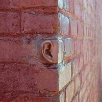 देशी छोरा (जय हिंद) (@deshi_chora) 's Twitter Profile