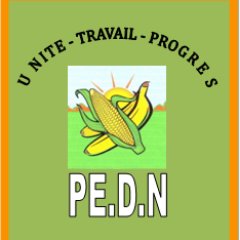 Pedn_Officiel's profile picture. | Page officielle d'information et de Communication du Parti de l'Espoir pour le Développement National  |  #PEDN2020